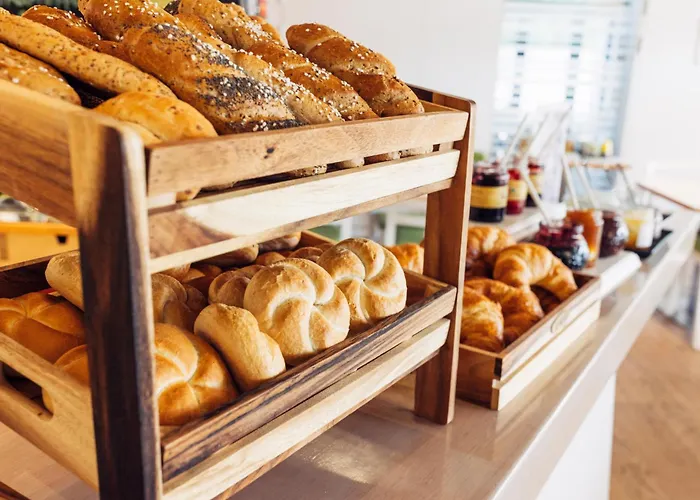 Harry's Linz-urfahr & מלון